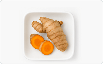 Turmeric (Curcuma longa)